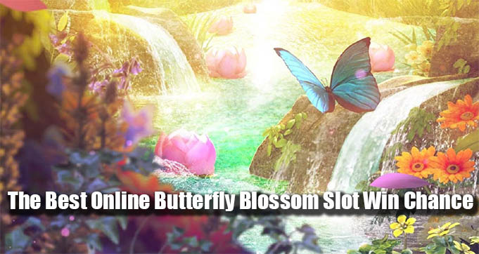 The Best Online Butterfly Blossom Slot Win Chance